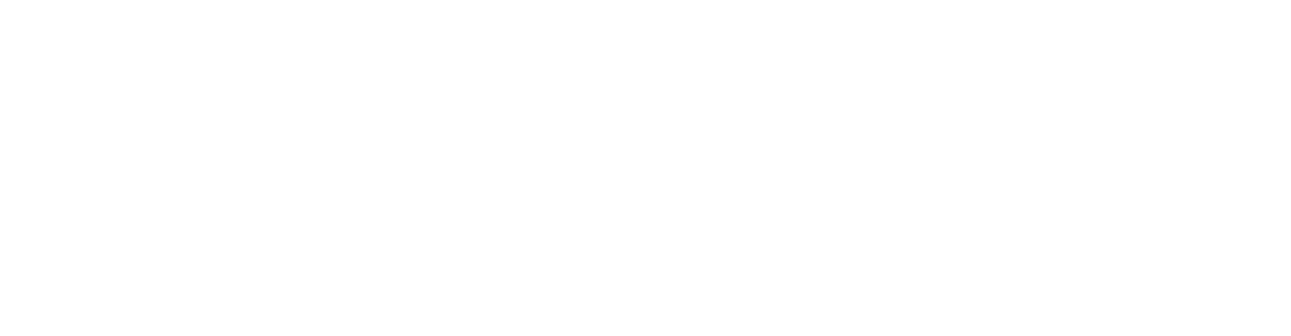 «Эйрлайнс Аэро»